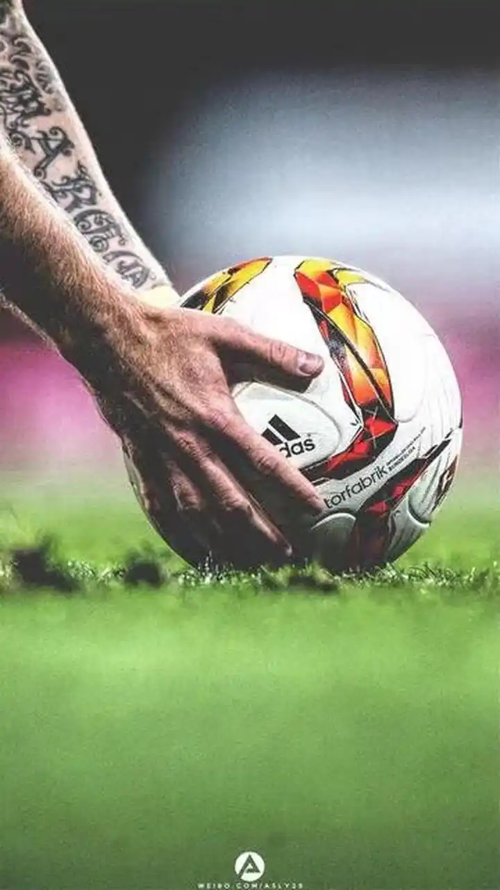 应变能力 应变能力