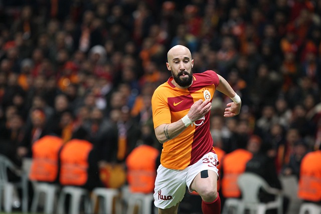 正如恩里克 正如恩里克